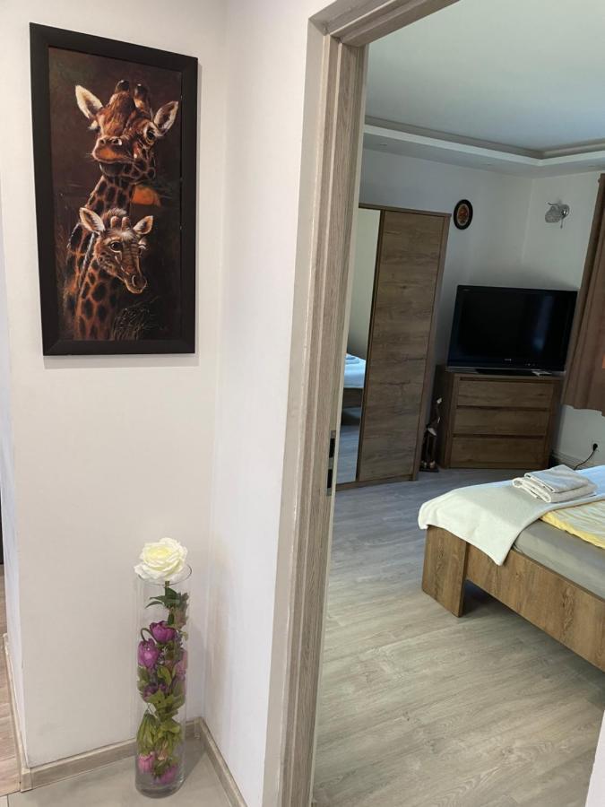 Prestige Apartament 엘블라그 외부 사진